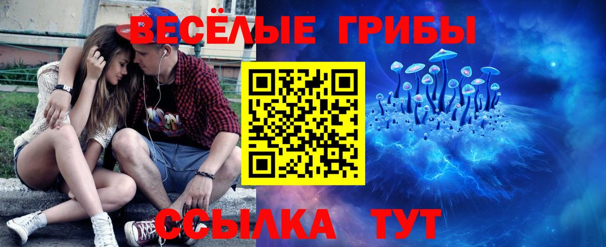 Стерлитамак  Псилоцибиновые грибы Magic Shrooms  Вход с VPN 