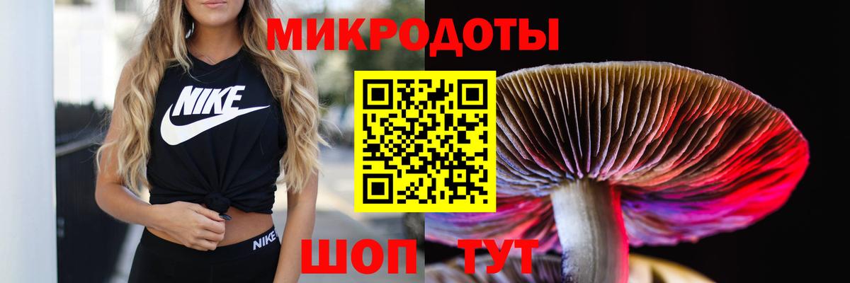 Галлюциногенные грибы Cubensis Стерлитамак